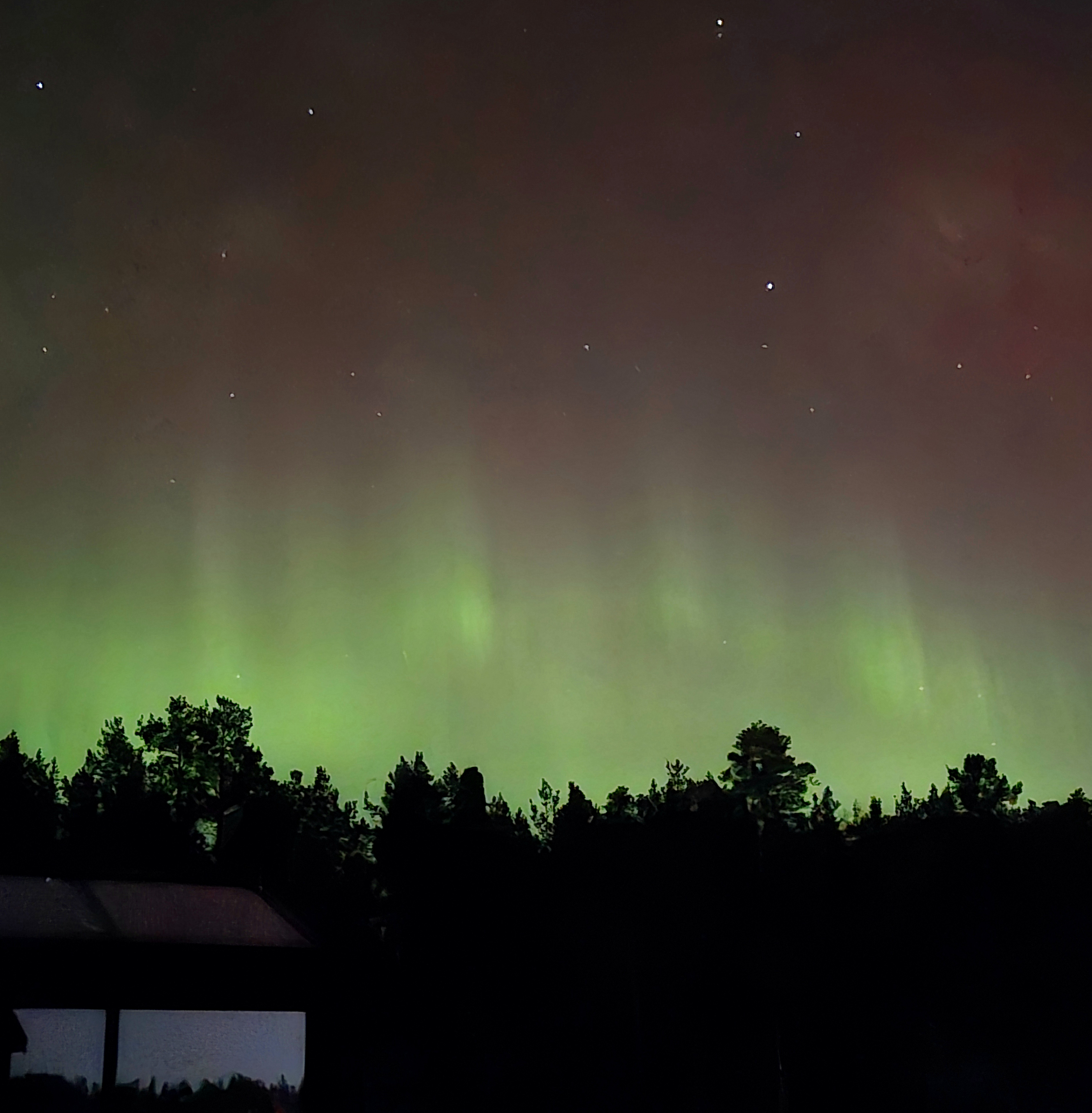 Reference photo of green northern lights and dark trees below, in alta, norway.